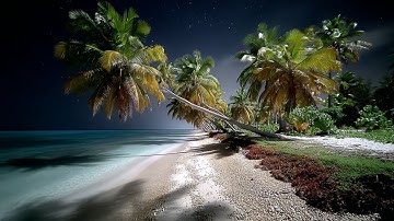 Sleep Stream | Beach Night Ambience 🌙 | Gentle Waves & Ambient Music (LIVE 24/7)
