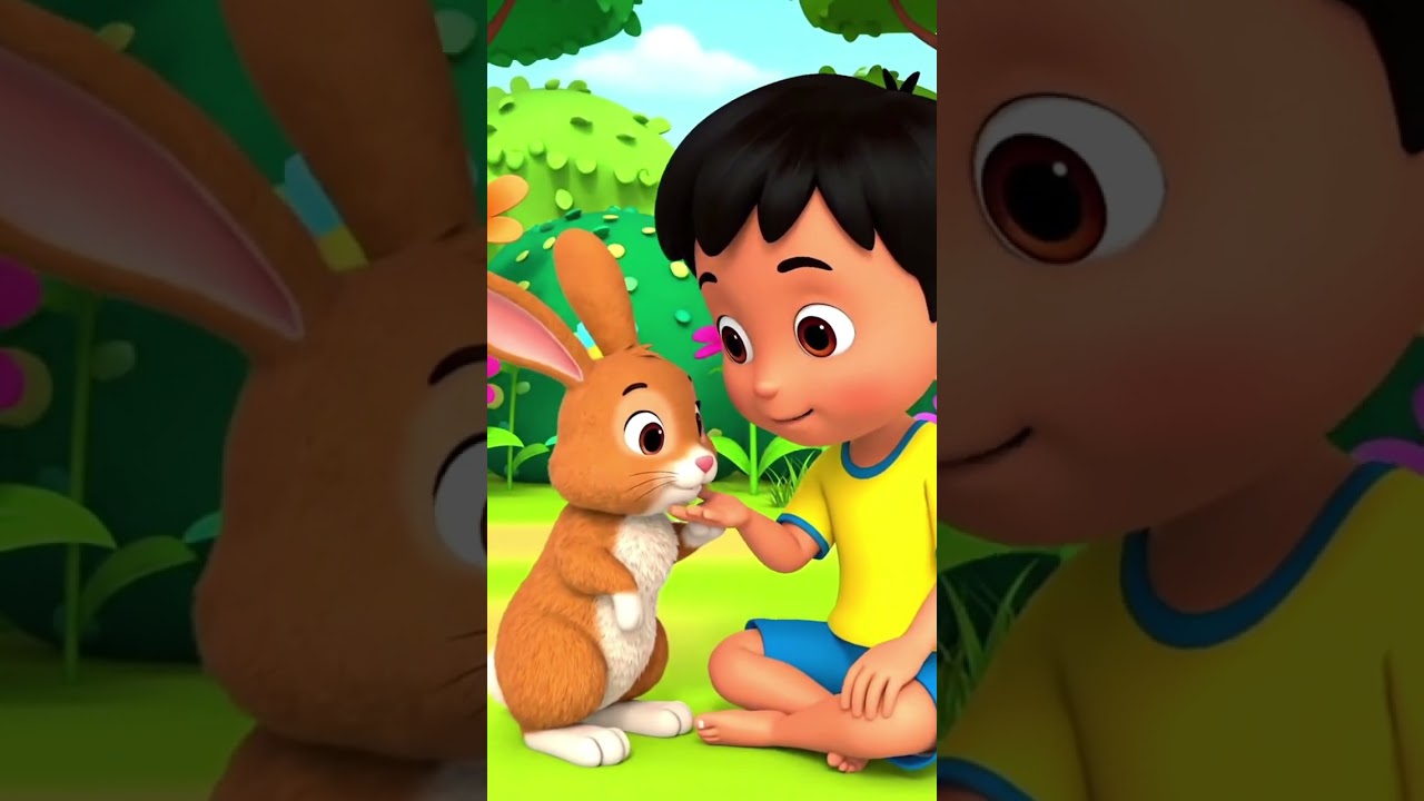 Rabbit and Mohan ki cartoon video