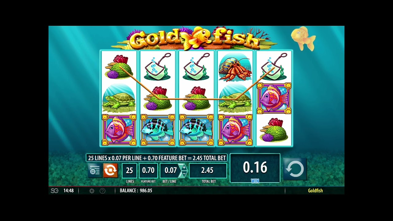 How to Play Gold Fish Slot for Big Wins!
