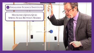 What Does a Scale Between Equal Masses on Pulleys Read?