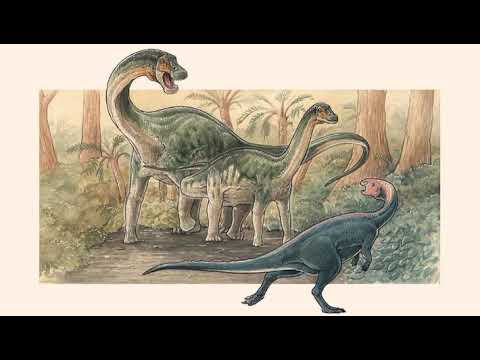 Нові види титанозаврів, виявлені в Аргентині, проливають світло на різноманітність динозаврів крейдяного періоду