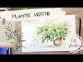 Peindre une plante verte  tuto aquarelle facile