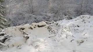 Unfinished Road Cut #2 - With Snow by Timberline Mountain Life 59 views 1 year ago 2 minutes, 31 seconds