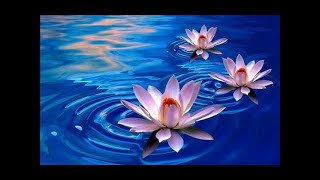 15 Min Reiki Healing Meditation Music l Sleep Relaxing Flute Instrumental Music 