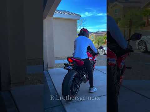 🔥 HONDA CBR650R FULL REV 🤯🔥 The Sound Every Biker Must Hear! #shorts #honda #cbr #650r #exhaust