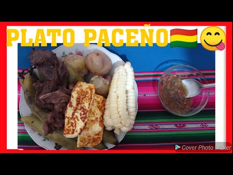 como hacer ‼️PLATO