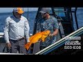 LA Bay Baja Mexico Fishing Trip S03 E08 - Islas Encantadas