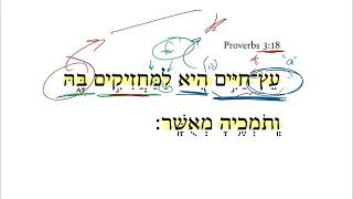 Proverbs 3:18