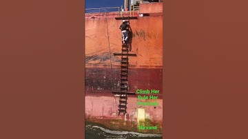 Climb Her, Rule Her precisely. Pilot Ladder!