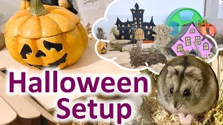 🎃Halloween Hamster Cage Setup 2023 🎃👻 by MyCuteHamster 253 views 7 months ago 2 minutes, 35 seconds