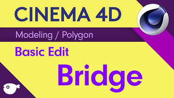 복쌤의 시포디 스터디 ( Modeling / Polygon edit/ Bridge )