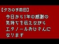 【夕方の手前田】今日から感謝の気持ちを伝えていきます！【エタノールおじさん】