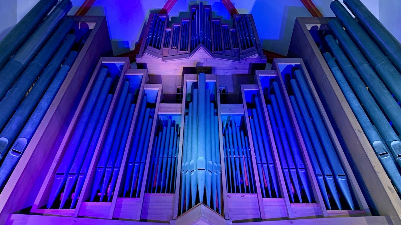 Toccata und Fuge in d-Moll BWV 565 | J. S. Bach | Stadtkirche St. Michael | Jena | Matthias Grünert