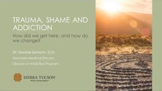 Trauma, Shame and Addiction Webinar with Donald Sansom, D.O. - 9.11.19