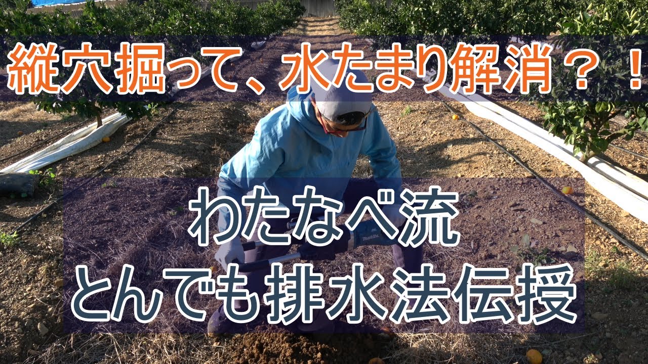 【わたなべ流】水はけ、水たまり問題の解消、軽減方法伝授します。【穴掘り】