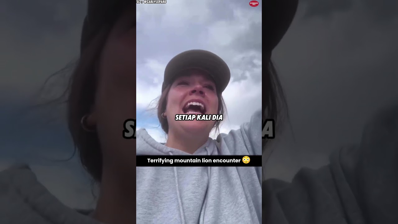 Cewek itu Berhadapan dengan Singa Gunung Seorang Diri