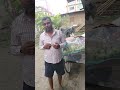 guys abhi Kela Kathmandu Nepal 350 rupaya