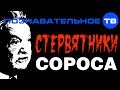 Стервятники Сороса (Познавательное ТВ, Николай Стариков)