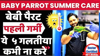 Baby Parrot 🦜  Care Tips In Summer |Summer Food 🥣 for Baby Parrot | Baby Parrot Summer Care In Hindi