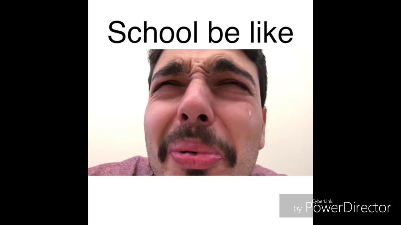 Mexican Vines《Mr.Chuy》pt.1