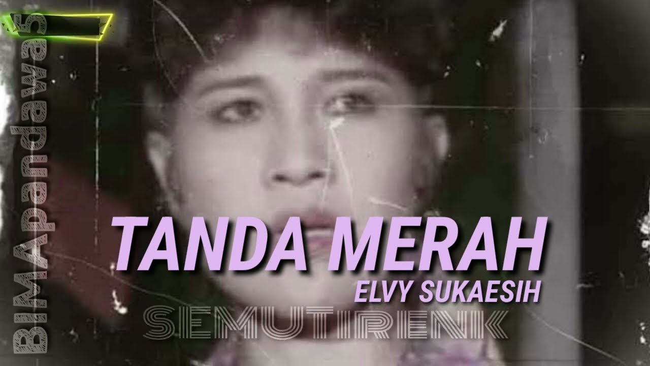 TANDA MERAH _ ELVY SUKAESIH ( LIRIK )