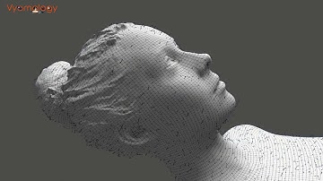 Unveiling the Quantum Universe: Beyond the Veil of Reality