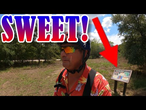 Lake Somerville Trailway (Nails Creek Trailhead) — field still 5