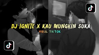 Dj Ignite X Kau Mungkin Suka Viral Tiktok
