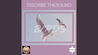 Download Lagu Birds