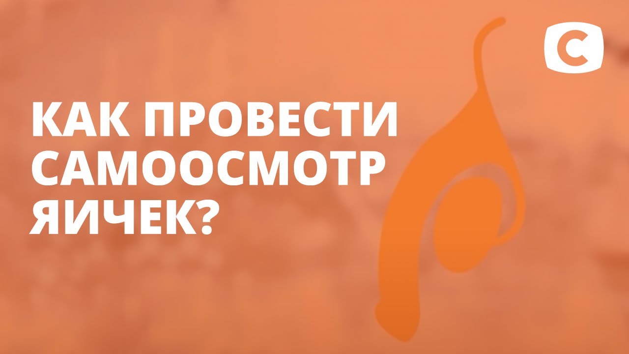 Как провести самоосмотр яичек?