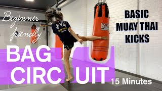 Basic Muaythai Kicks - BAG WORKOUT | 15 MINS | FOLLOW ALONG