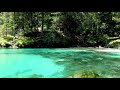 Soothing Water Lake - Forest River. Relaxing Nature Sounds. (10 Hours). White Noise for Sleeping.