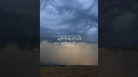 القارئ عبدالرحمن مسعد - مقاطع قرآن قصيرة وحالات واتس إسلامية 🌱