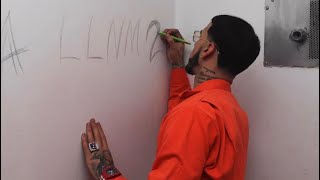 Anuel AA - Celos ( Audio Official LLNM2 )