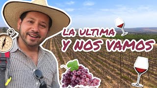 Visitando el viñedo más alto de México | Ruta de vinos en Guanajuato🍷🍇