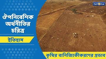ঔপনিবেশিক অর্থনীতির চরিত্র | কৃষির বানিজ্যিকীকরণের প্রভাব | Class 8 - History #ইতিহাস #tutopia