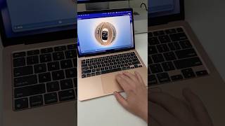 macOS has native 360 video support now?