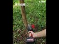 ナウィン　充電式チェーンソー　4インチ