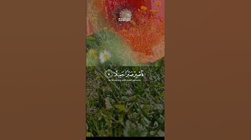 سورة المعارج | فاصبر صبرا جميلا #ramadan #اكسبلور #المصحف #اسلام #راحة_نفسية