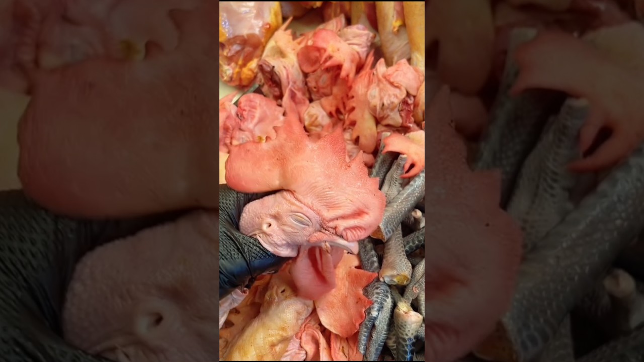 курица без головы 