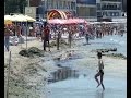 Арендованные пляжи Анапы утопают в горах водорослей