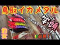 【鳥取イカメタル 】【ヒットシーンまとめ】【釣女】【竿頭】初心者