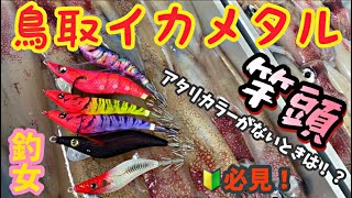 【鳥取イカメタル 】【ヒットシーンまとめ】【釣女】【竿頭】初心者