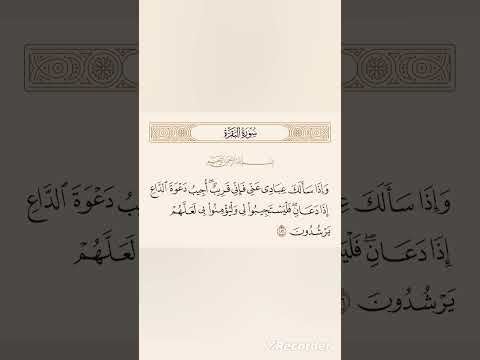 سورة البقرة الآية 186 بصوت الشيخ عبد الباسط عبد الصمد