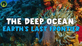 The Deep Ocean: Earth's Last Frontier | Nature Video | Learn about the Ocean