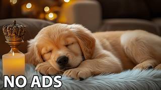 12 Hours Calming Music for Dogs 🎵 Soothing Music for Dogs 🐶 Anti Separation anxiety relief music Actualización