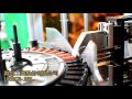 輪轂馬達繞線機  Wheel Motor Winding Machine