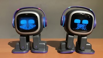 EMO - Two EMOs Do all 6 Poses in Sync