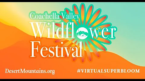Coachella Valley Wildflower Festival Finale