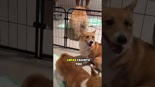 Deketin Makanan? Bahaya!